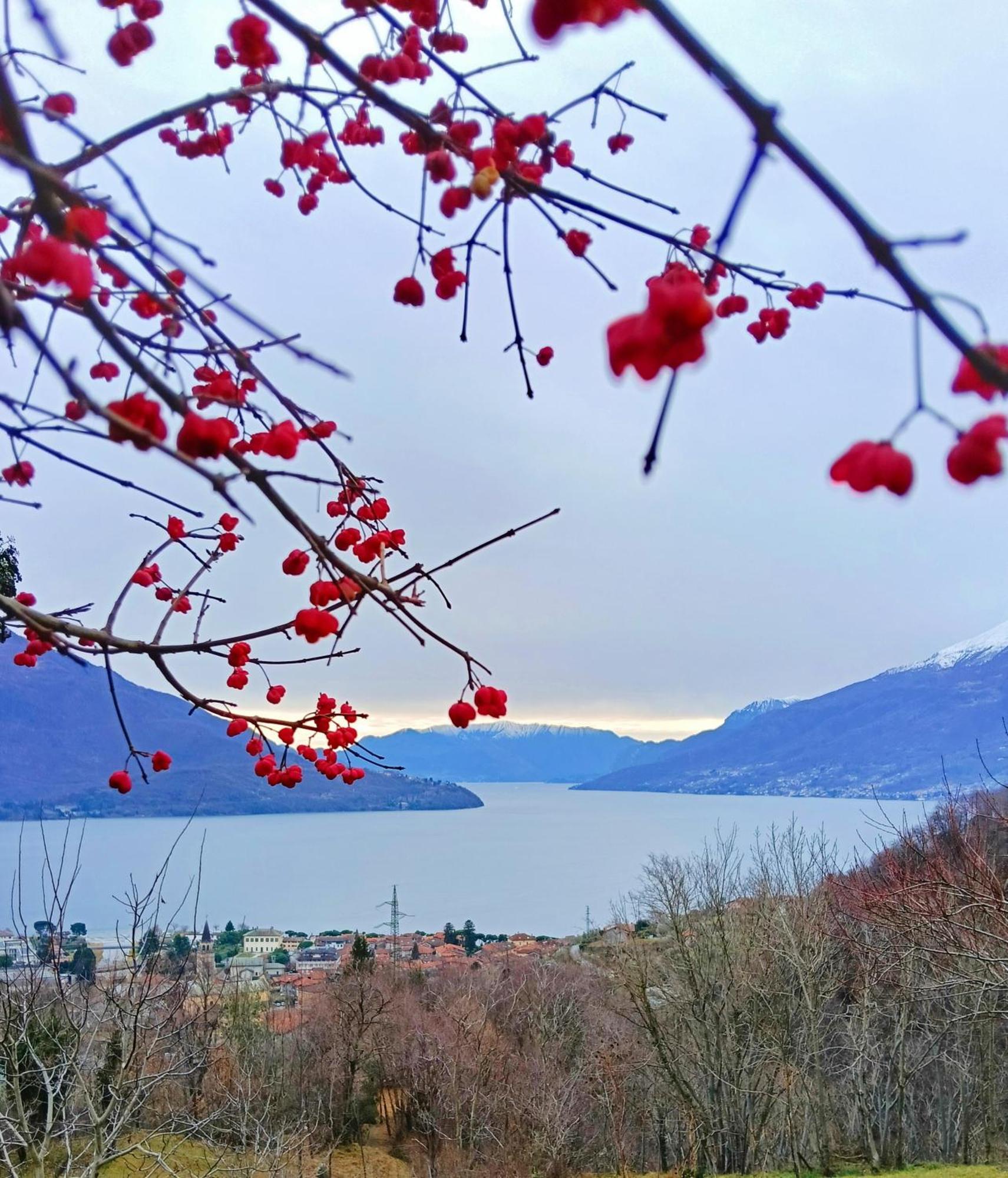 Lake Como Borgo Vignola Cremia Exteriér fotografie
